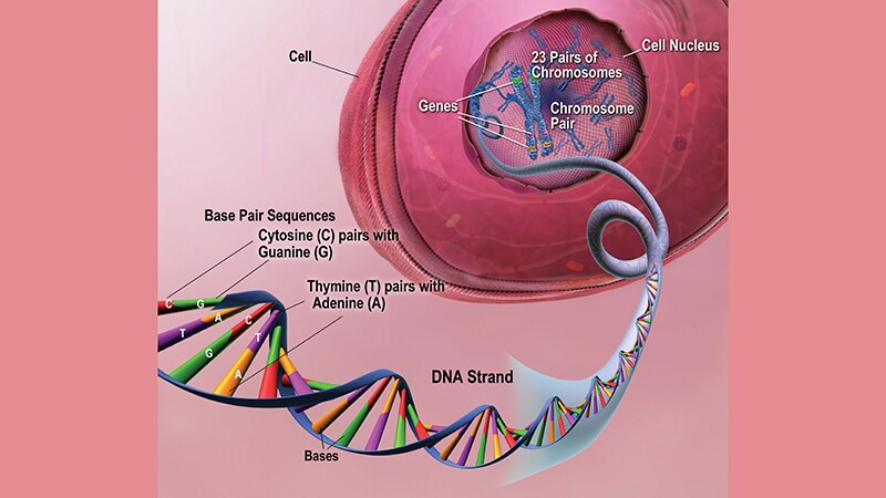 Fast Five Quiz: Alzheimer's Disease Management