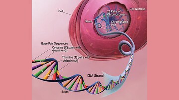 Fast Five Quiz: Alzheimer's Disease Management