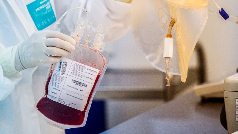 Poorly Matched Stem Cell Transplants Linked to Ancestry