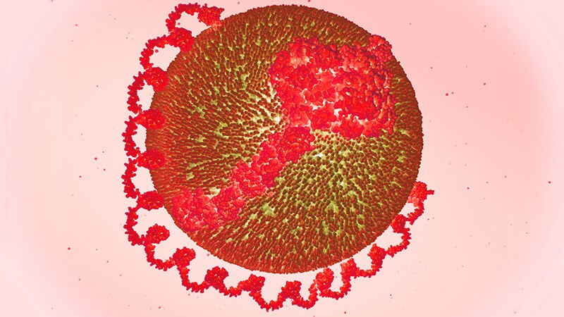 Sustained Reductions in Lp(a) Achieved With Novel siRNA Drug