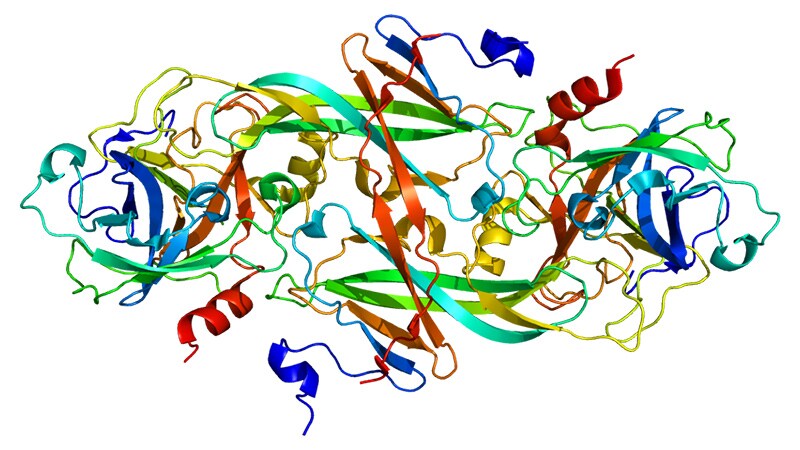 Less Bleeding With Factor XI Inhibitor Anticoagulant? PACIFIC-AF 
