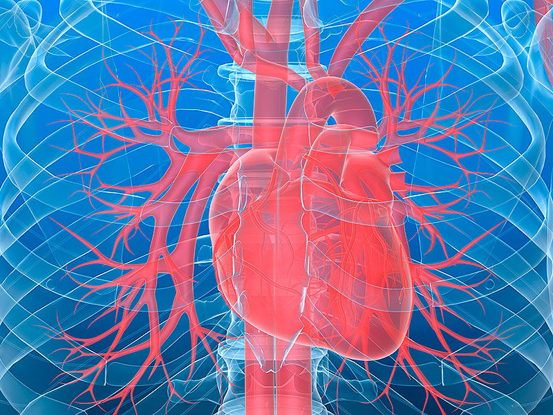 A New Oncology Target: The Heart