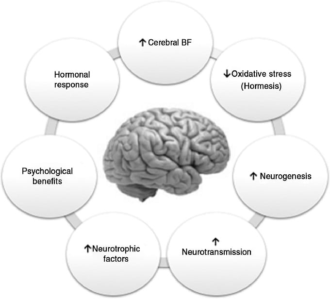 The Power of Movement: The Impact of Physical Activity on Alzheimer's ...