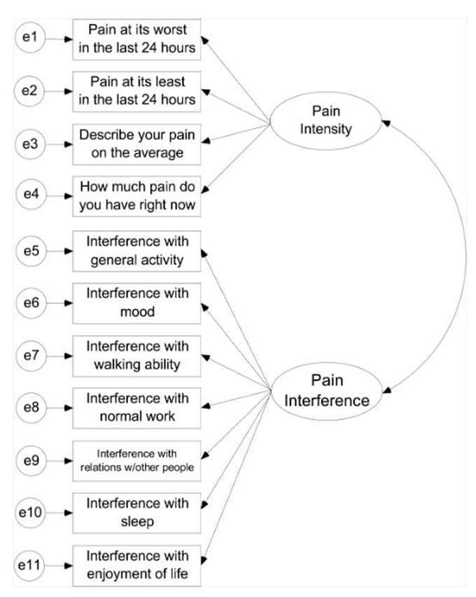 Analgesic Prescribing Skills Course: Case Challenges in Pain Management