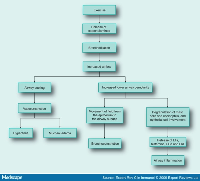 Exerciseinduced Asthma in Children Page 6