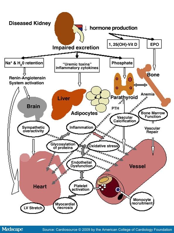 Implications of CKD for Patients with CAD