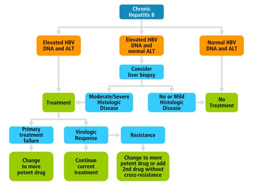 New Strategies In The Treatment Of Hepatitis B