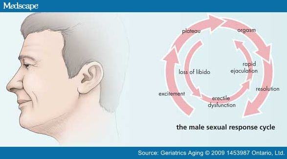 Sexuality in the Aging Male Page 2