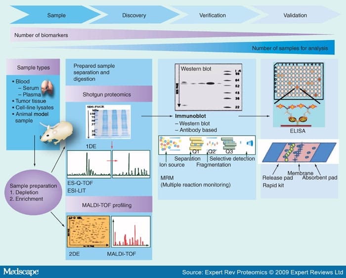 Proteomic Approaches in Lung Cancer Biomarker Development - Page 4