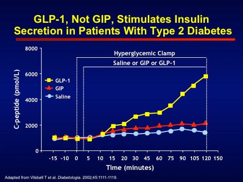 Recent Clinical Data On The Use Of Glp-1 Analogs In Type 2 Diabetes 