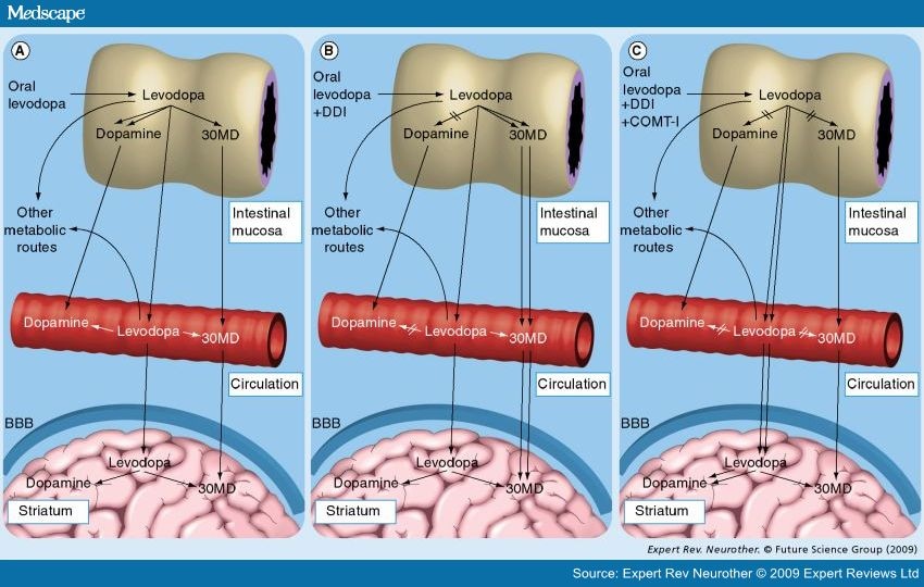 Levodopa/Carbidopa/Entacapone In Parkinson's Disease