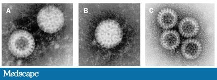 Prevention And Control Of Rotavirus Gastroenteritis In Infants And ...