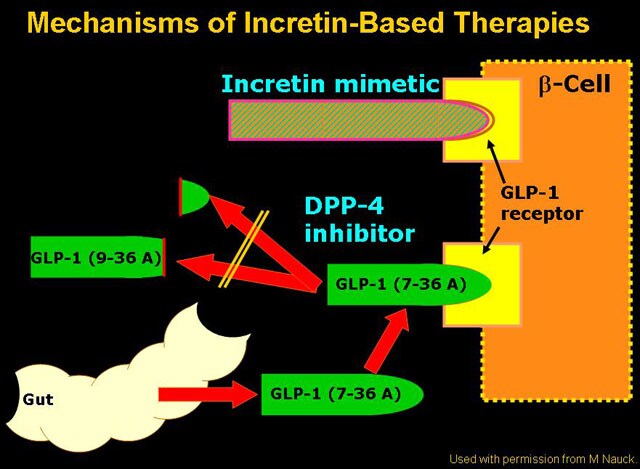 Practical Strategies for the Clinical Use of Incretin Mimetics