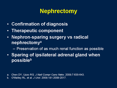 NCCN – MedscapeCME Oncology Renal Cell Carcinoma Tumor Board (Transcript)