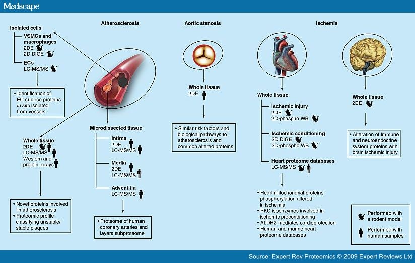 Tissue Proteomics In Atherosclerosis 7298