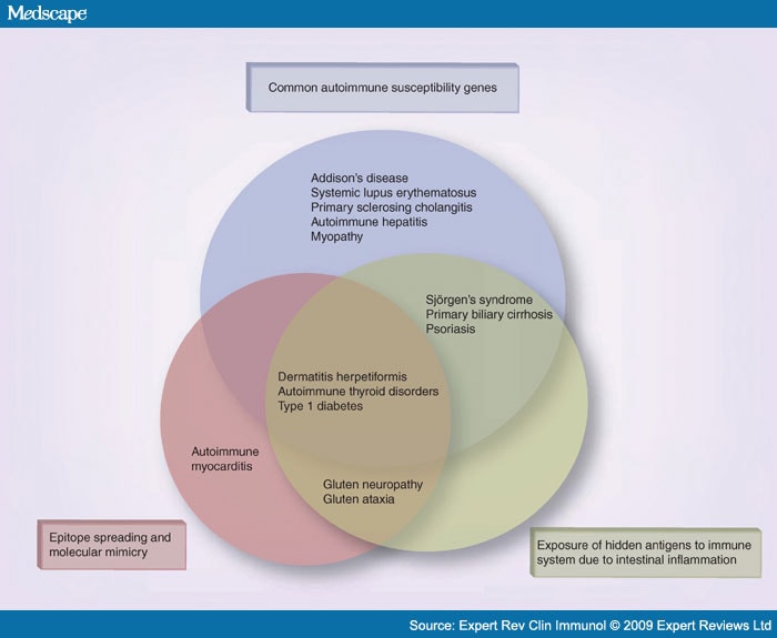 Celiac Sprue: a Unique Autoimmune Disorder - Page 3