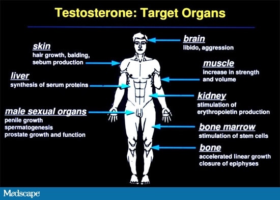 Measuring and Interpreting Serum Testosterone Levels in Men