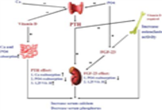 Eliphos, PhosLo (calcium acetate) dosing, indications, interactions ...