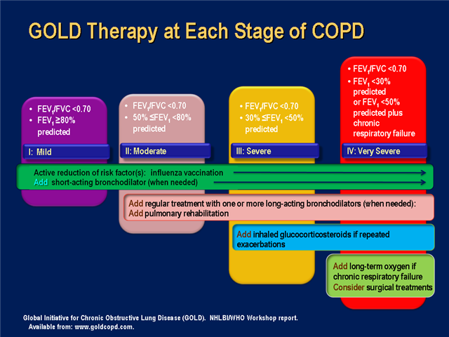 Improving Outcomes in COPD Patients: Breaking Down the Barriers to ...