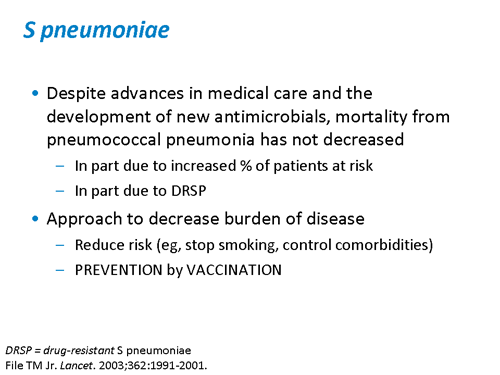 Pneumococcal Disease In Adults: Identifying Risk And Preventive ...