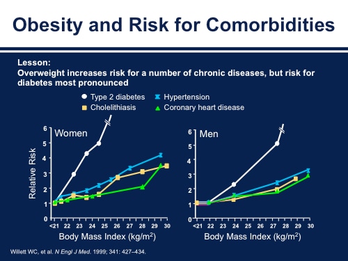 The Obesity Epidemic! Exploring Emerging Strategies For Weight Control ...