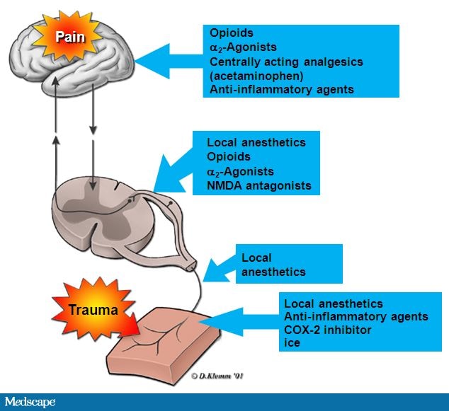 New And Emerging Treatment Options For Acute Postoperative Pain In The ...