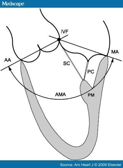 Contemporary Insights Into the Functional Anatomy of the Mitral Valve