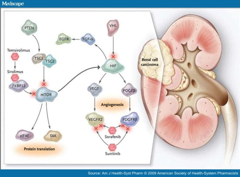 Renal Cell Carcinoma and Drug Therapy of Advanced Disease, Part 1 - Page 8