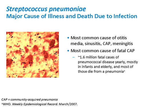 Pneumococcal Disease In Adults: Updated Practice Recommendations ...