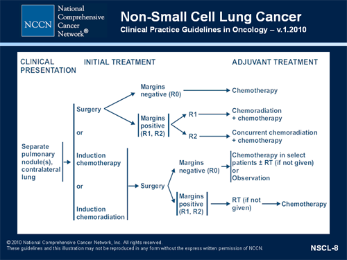 Therapy for Stages I, IIA, IIB, and IIIA (T3, N1) Non-Small Cell Lung ...