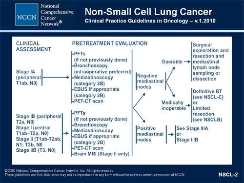 Therapy for Stages I, IIA, IIB, and IIIA (T3, N1) Non-Small Cell Lung ...