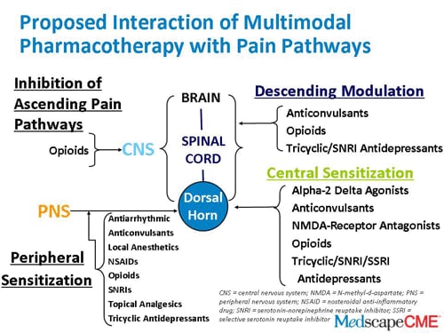 Emerging Concepts Of The Pathophysiology Of Chronic Pain And ...