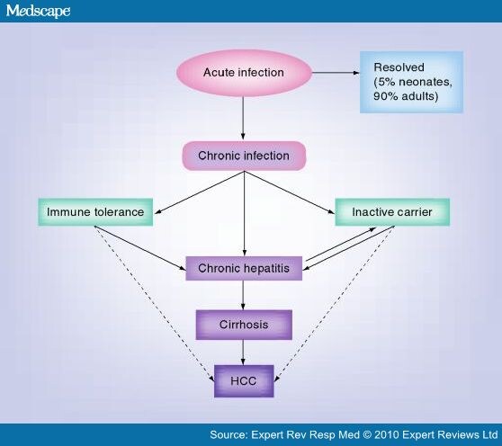 End Points Of Therapy In Chronic Hepatitis B