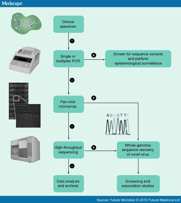 Metagenomics for the Discovery of Novel Human Viruses
