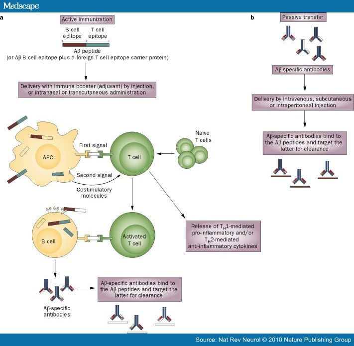 Can Alzheimer Disease be Prevented by Amyloid-Beta Immunotherapy?