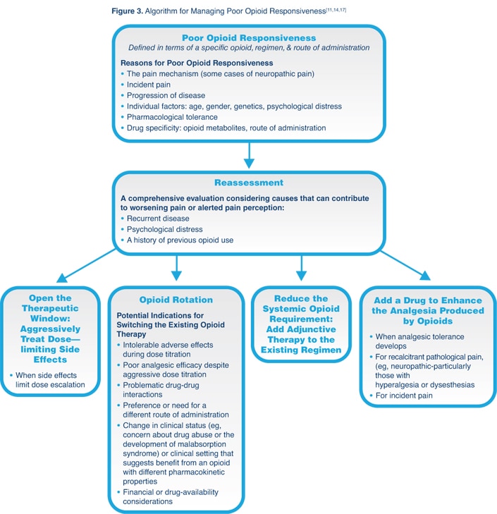 Strategies For Opioid Rotation Decision Support In Chronic