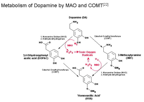 dobutamine drip