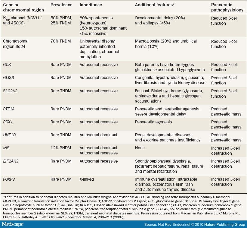 Type 1 Diabetes Mellitus Diagnosed Before 6 Months of Age