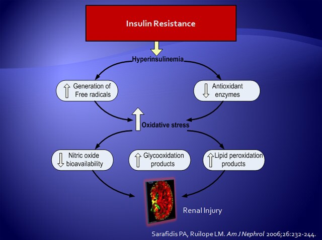 The Kidney And Its Effect On Diabetes Control And Its Complications