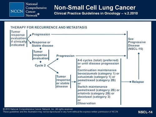 Maintenance Therapy for Non-Small Cell Lung Cancer (Transcript)