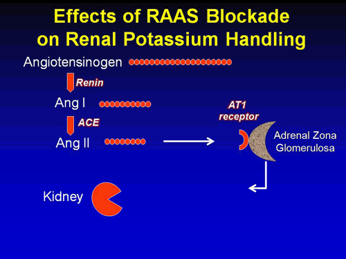 Hyperkalemia Management and RAAS Blockade in the High-Risk Diabetes ...