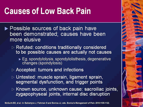 Treatment of Low Back Pain: Pharmacologic and Nonpharmacologic Options ...