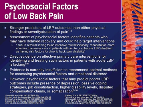 Treatment of Low Back Pain: Pharmacologic and Nonpharmacologic Options ...