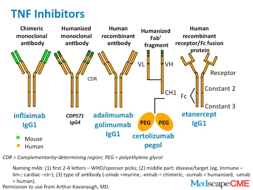 Rheumatoid Arthritis The Role of Cytokines and Kinases