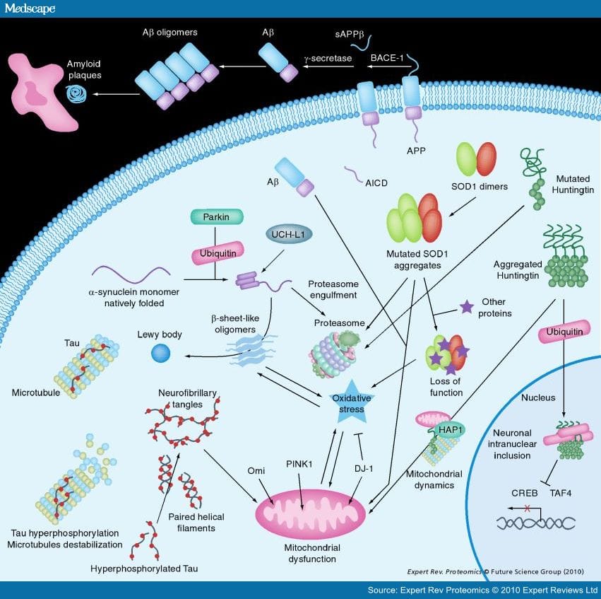 Proteomic Analysis of Mitochondrial Dysfunction in Neurodegenerative ...