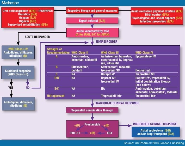 Pharmacologic Treatment Of Pulmonary Hypertension