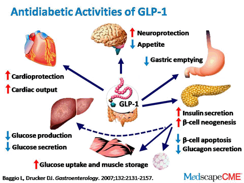 Adding an Incretin-Based Therapy Early in T2DM Treatment (Transcript)