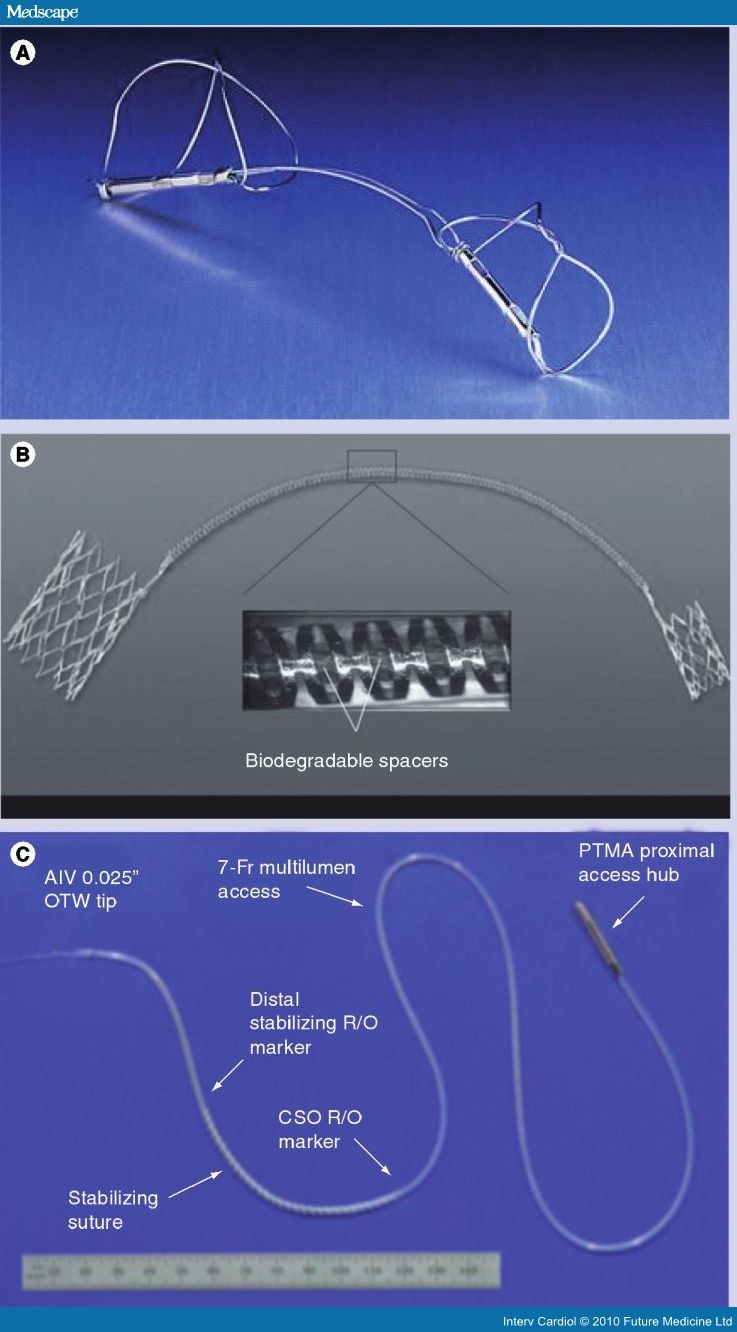 Transcatheter Aortic and Mitral Valve Interventions: Update 2010