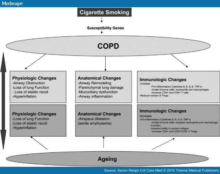 COPD in the Elderly Patient