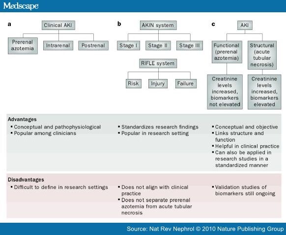 Acute Kidney Injury: Defining Prerenal Azotemia in Practice and Research